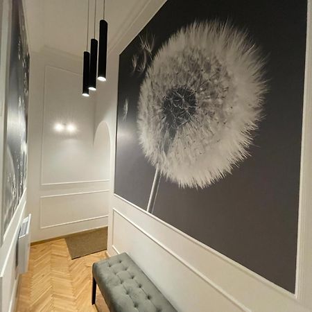 Flower Apartment Budapest Eksteriør bilde